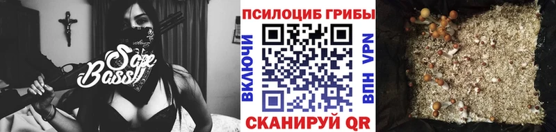 Псилоцибиновые грибы MAGIC MUSHROOMS  Заозёрный 